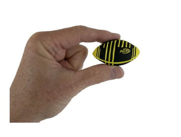 World's Smallest Nerf Football Weather Blitz