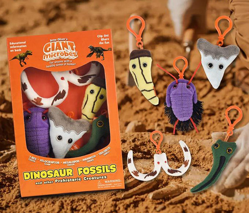Dinosaur Fossil Gift Box dirt