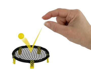 World's Smallest Spikeball