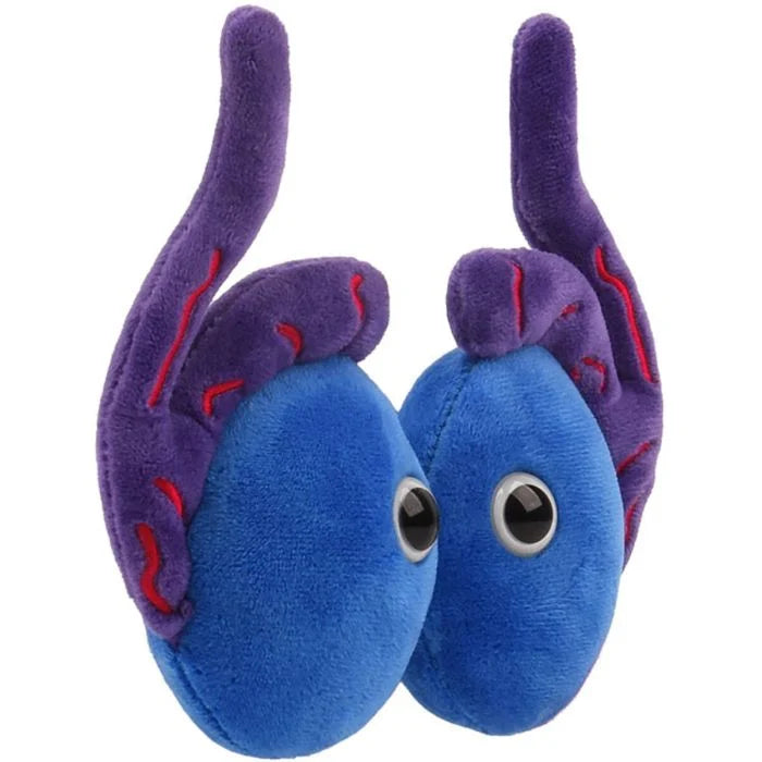 GIANTMicrobes - Testicles
