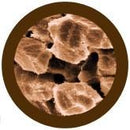 Giant Microbes Plush - Liver Disease (Cirrhosis) the real thing