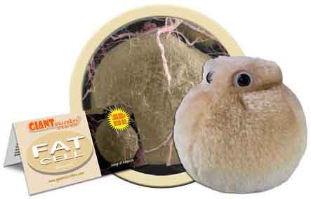 Giant microbes stuffed shop animals