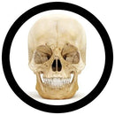 GIANTmicrobes Plush - Deluxe Skull with Minis (Brain, ear, brain cell & eyes) the real thing