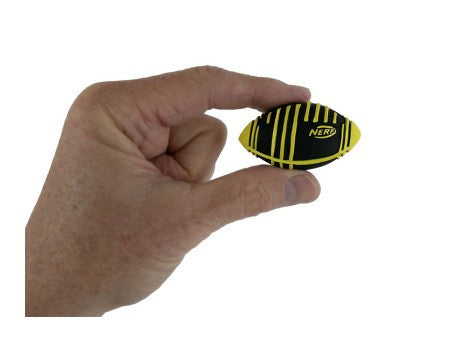 World's Smallest Nerf Football Weather Blitz