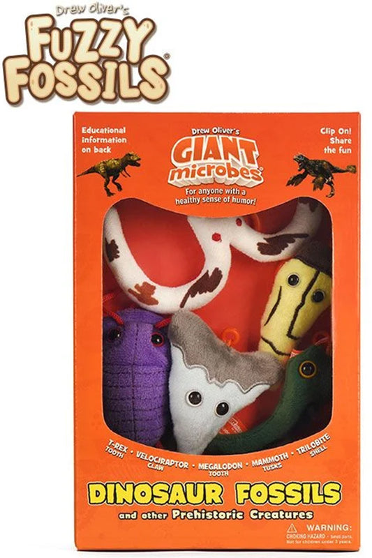 Dinosaur Fossil Gift Box in box