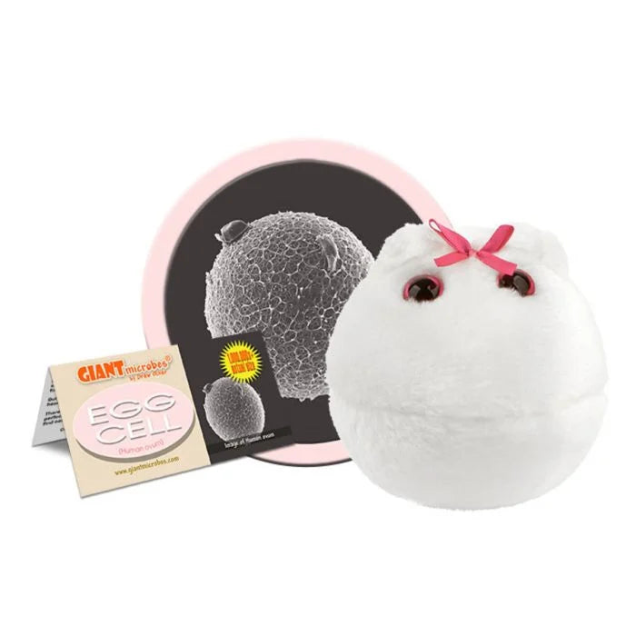 GIANTMicrobes - Egg Cell (Human Ovum)