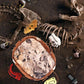 T. rex Fossil Dig with bones