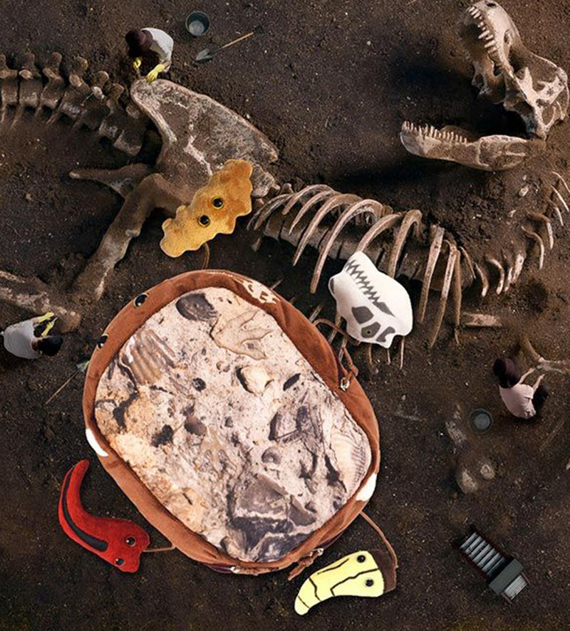 T. rex Fossil Dig with bones