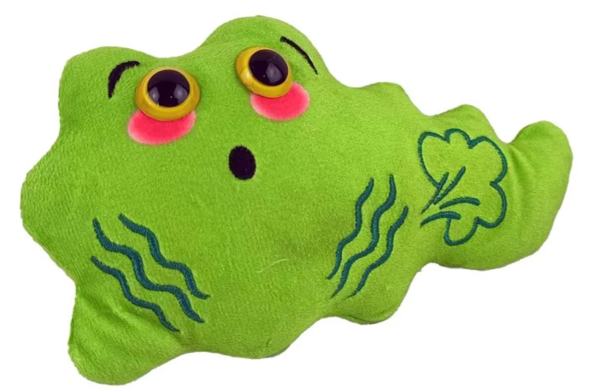 GIANTMicrobes - Fart