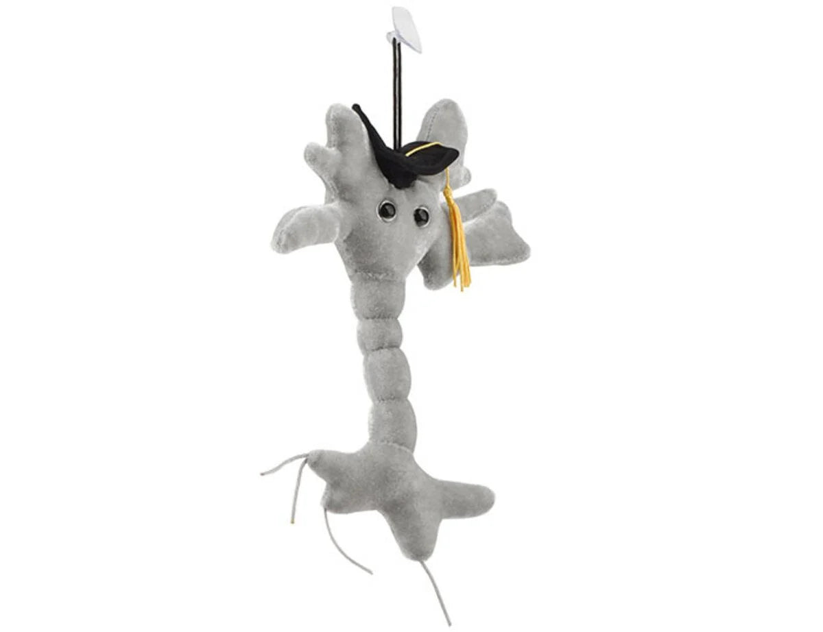 GIANTMicrobes - Brain Cell (Graduation)