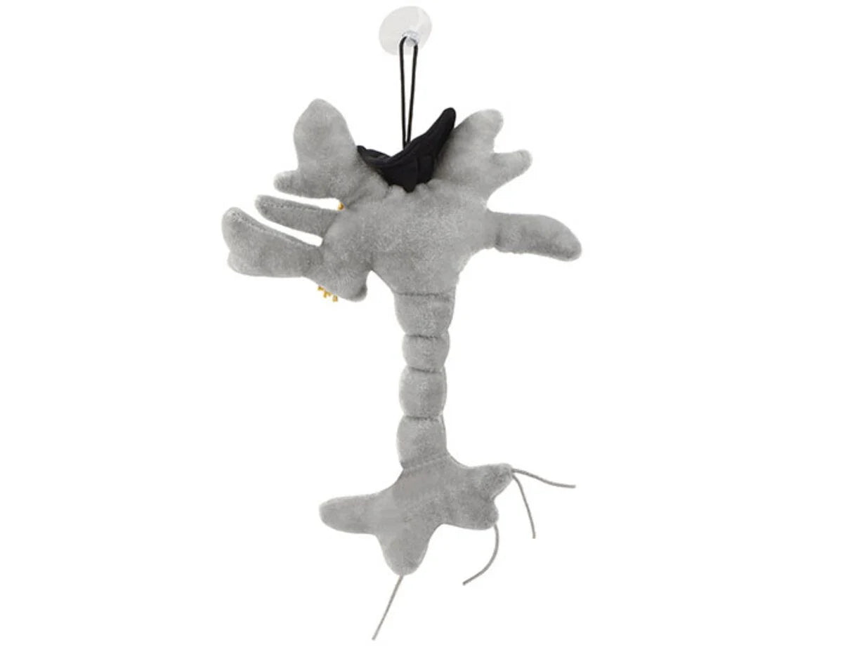 GIANTMicrobes - Brain Cell (Graduation)