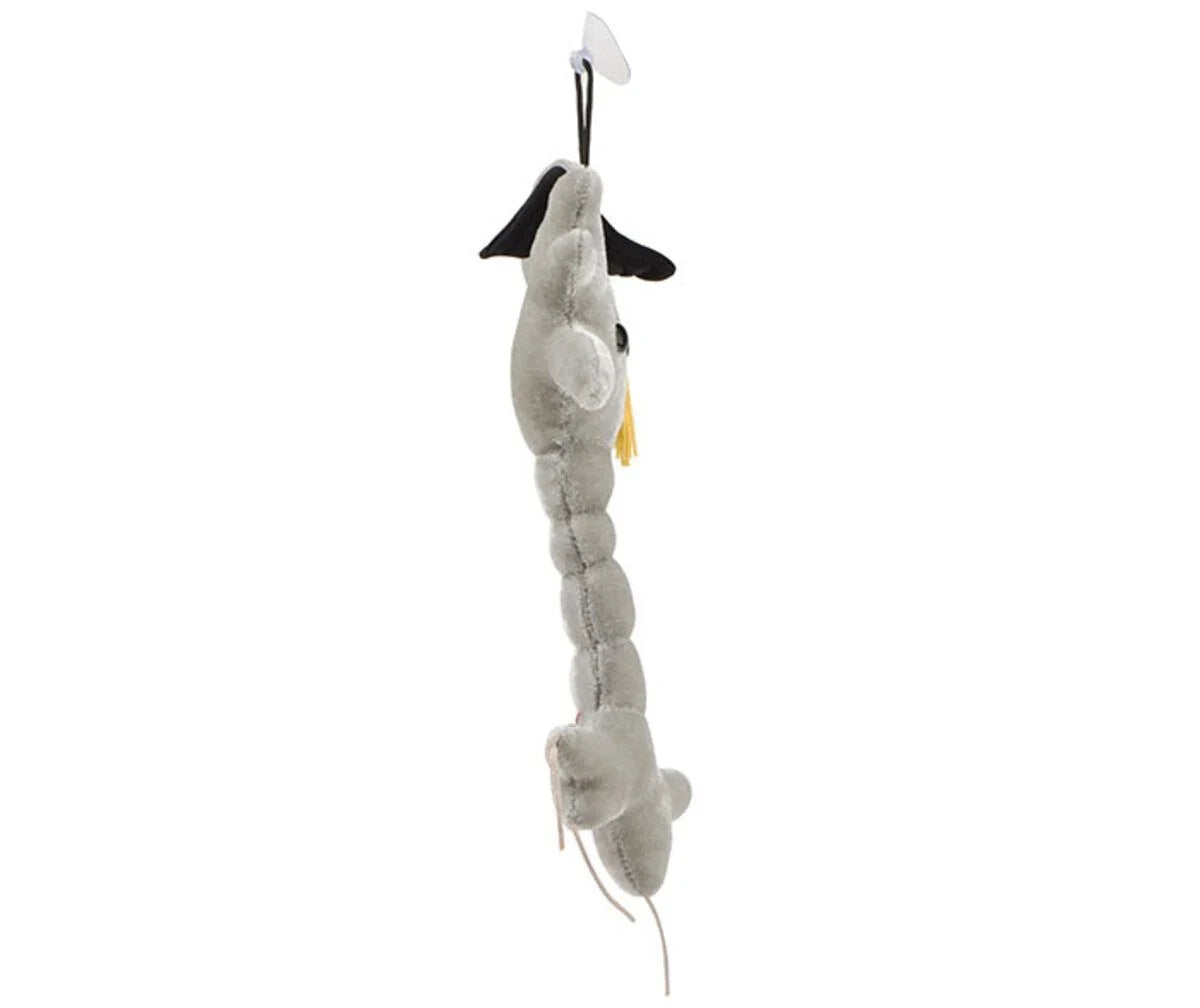 GIANTMicrobes - Brain Cell (Graduation)