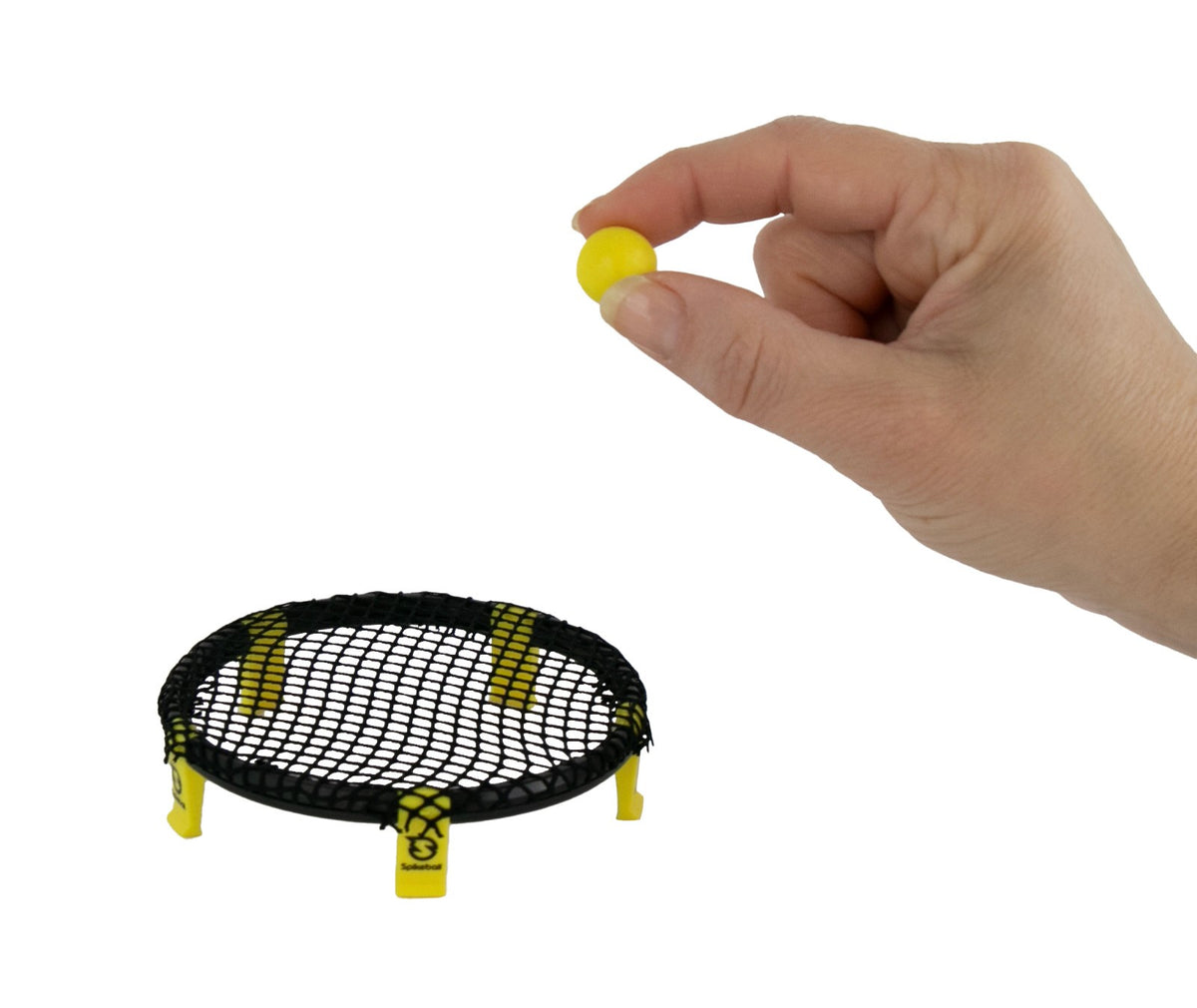 World's Smallest Spikeball