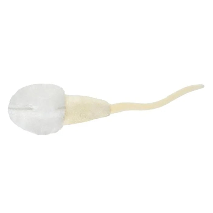 GIANTMicrobes - Sperm Cell (Spermatozoon)