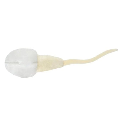 GIANTMicrobes - Sperm Cell (Spermatozoon)