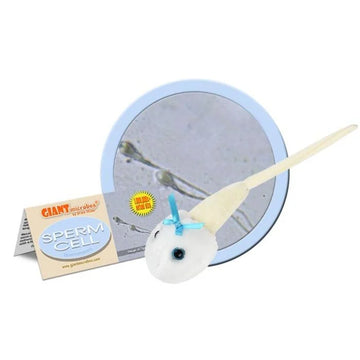 GIANTMicrobes - Sperm Cell (Spermatozoon)