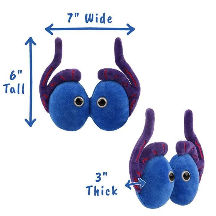 GIANTMicrobes - Testicles