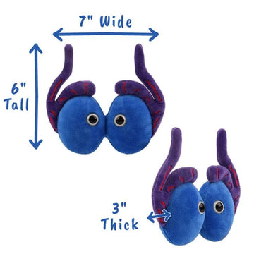 GIANTMicrobes - Testicles