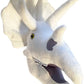 Triceratops Gigantic angle