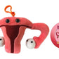 GIANTmicrobes - Uterus (Keychain)