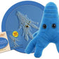 Giant Microbes Plush - Amoeba (Amoeba Proteus)