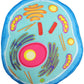 Giant Microbes Plush - Animal Cell top angle