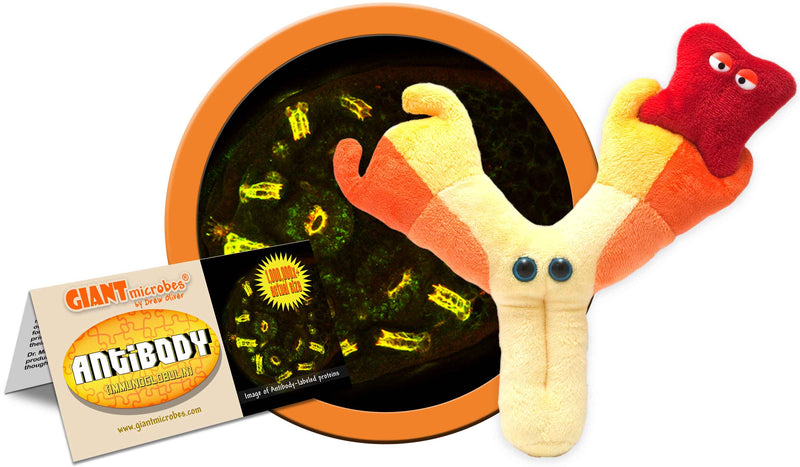 Giant Microbes Plush - Antibody zoom