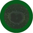 Giant Microbes Plush - Bad Breath (Porphyromonas Gingivalis) the real thing