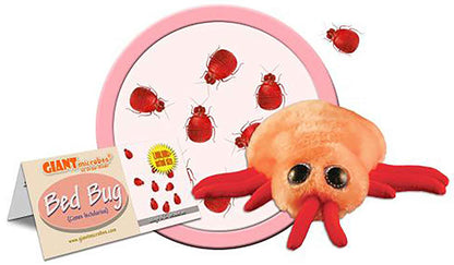 Giant Microbes Plush - Bed Bug (Cimex Lectularius)