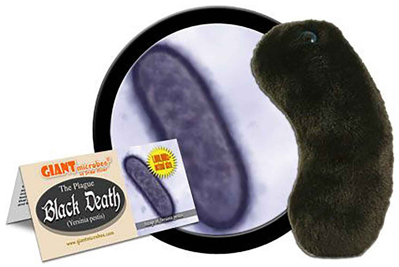 Giant Microbes Plush - Black Death (Yersinia Pestis)