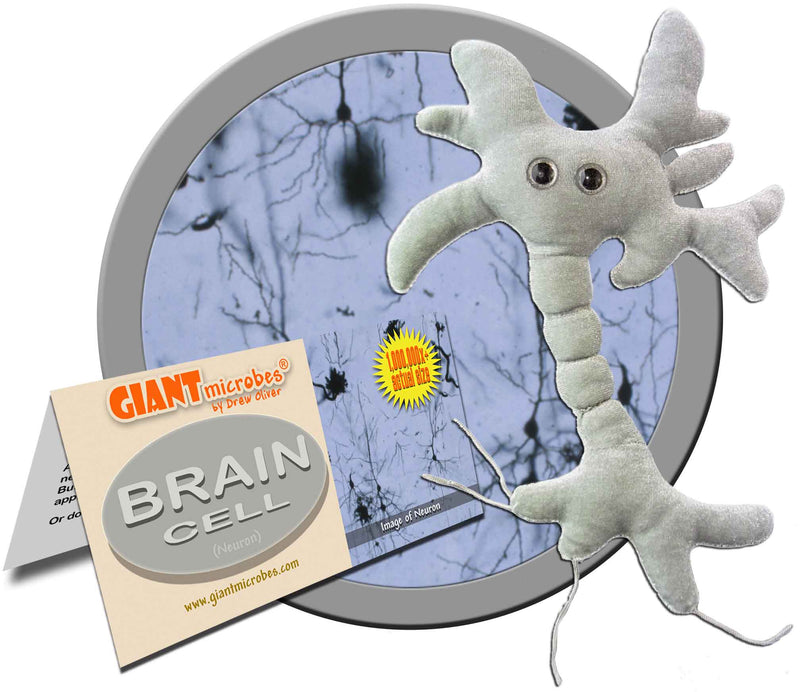 Giant Microbes Plush - Brain Cell zoom