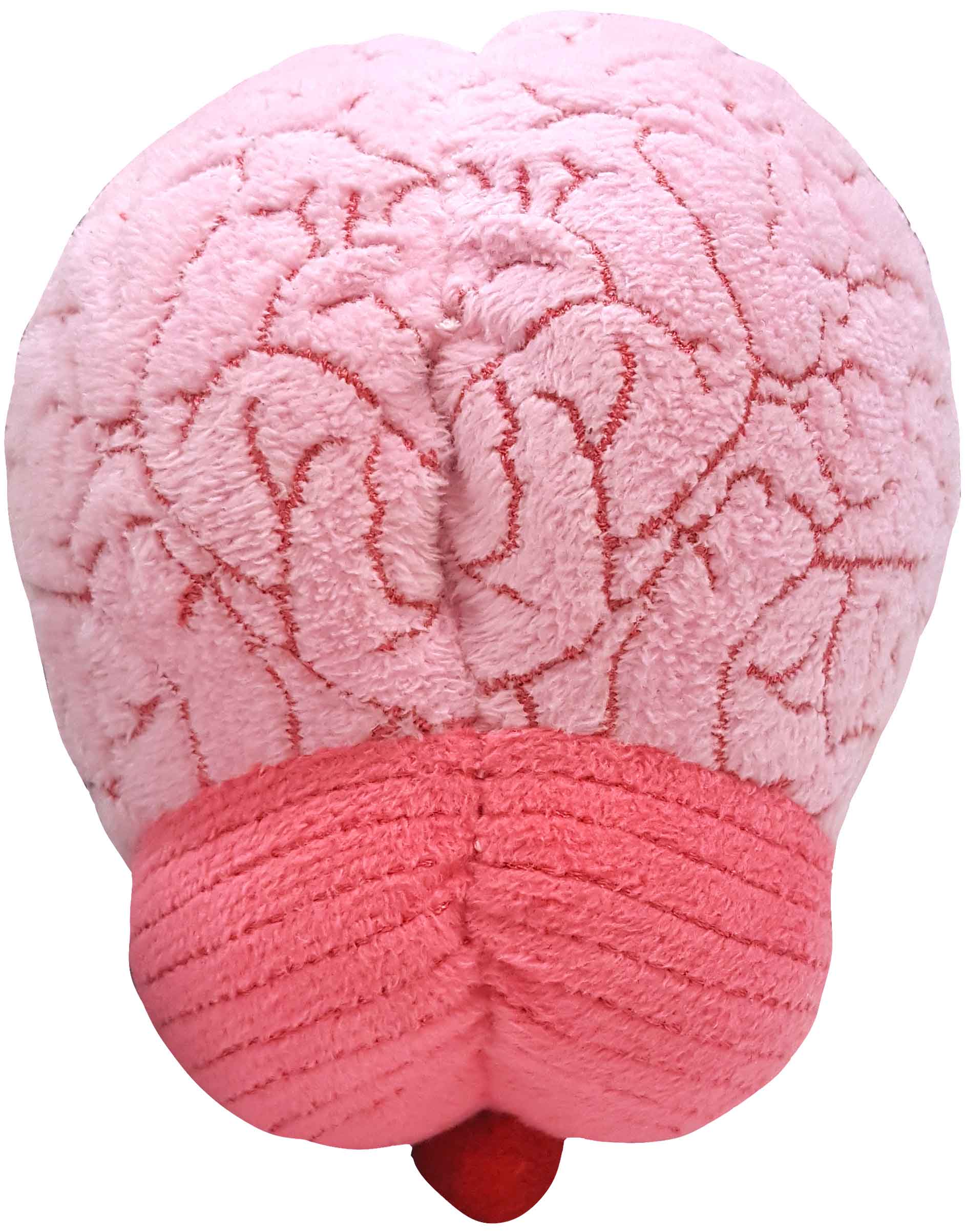Giant Microbes Plush - Brain Organ back