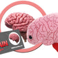 Giant Microbes Plush - Brain Organ