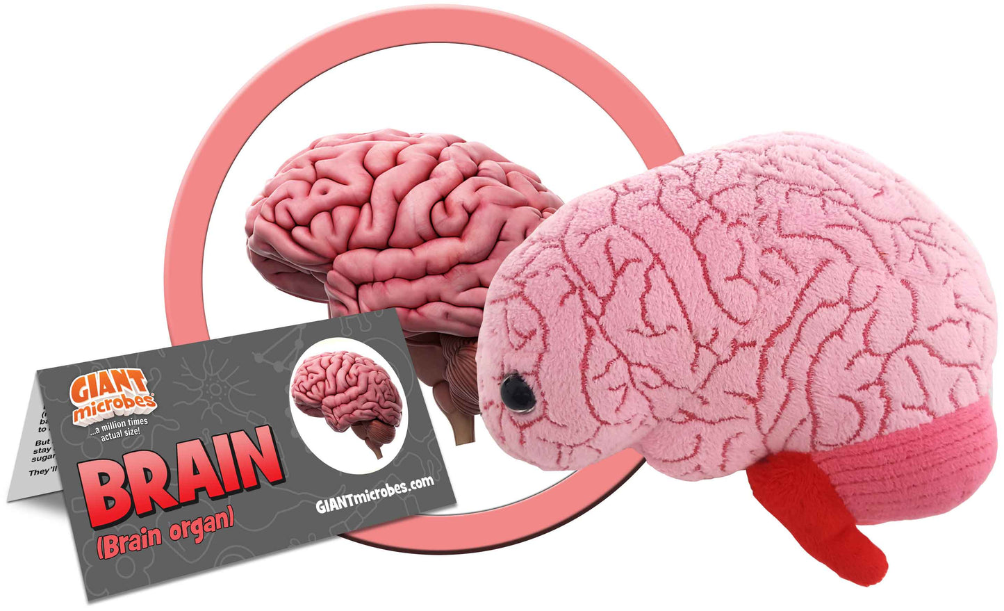 Giant Microbes Plush - Brain Organ