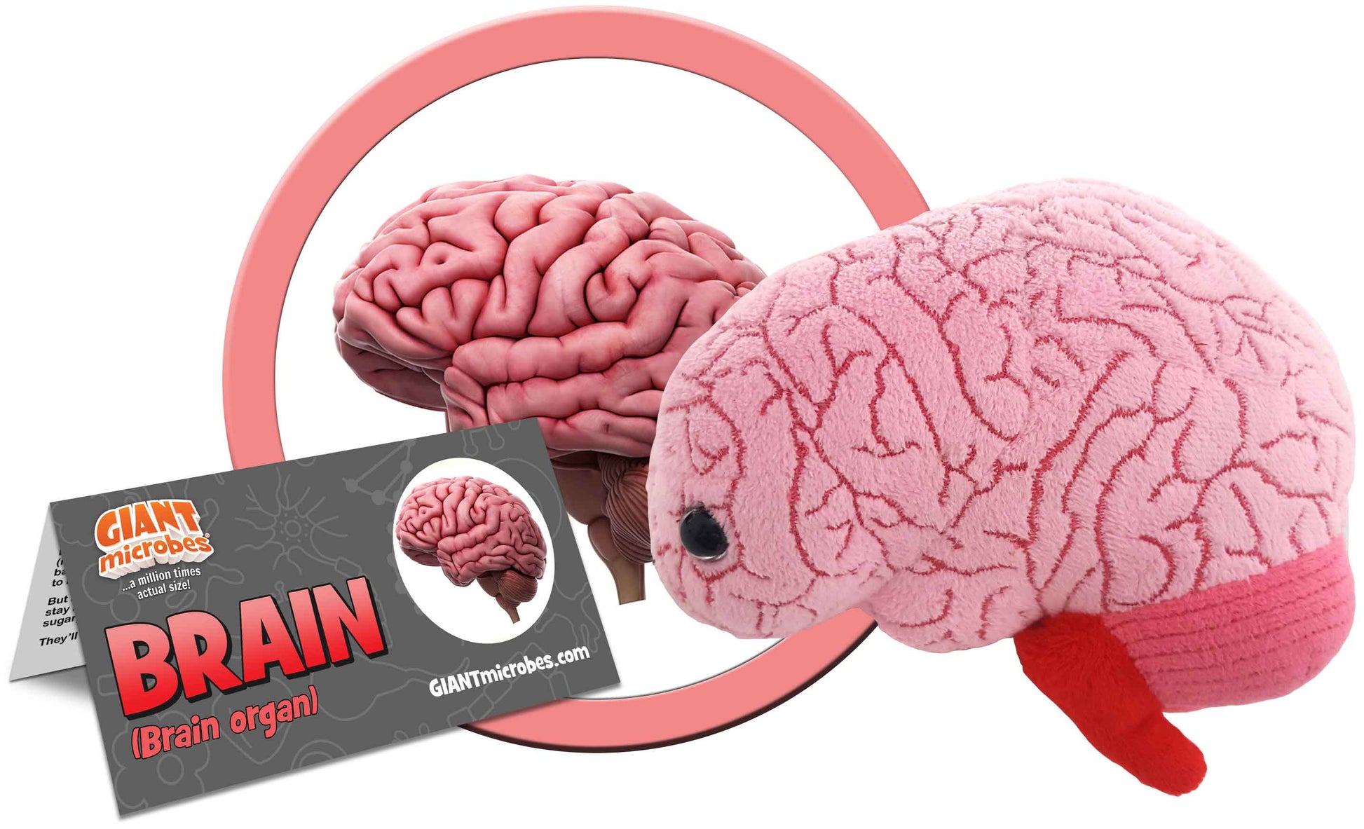 Giant Microbes Plush - Brain Organ