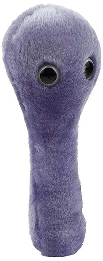 Giant Microbes Plush - C. Diff Clostridioides Difficile side