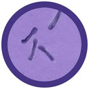 Giant Microbes Plush - C. Diff Clostridioides Difficile the real thing