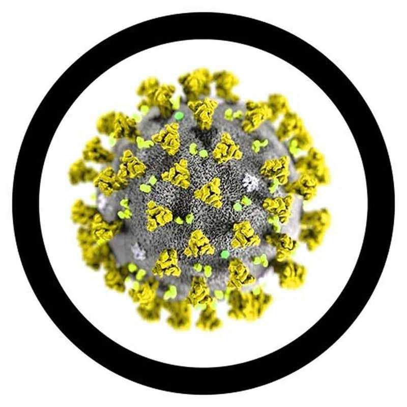 Corona-Virus-covid-19-under-microscope