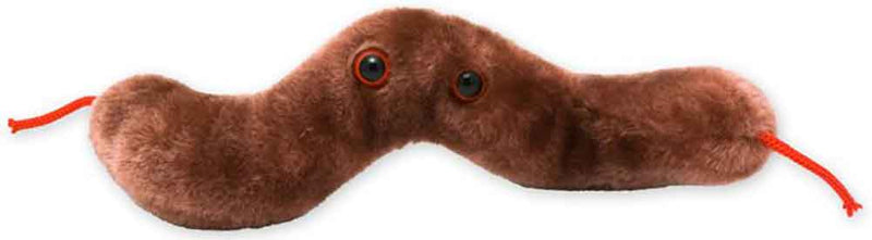 Giant Microbes Plush - Diarrhea (Campylobacter Jejuni) doll