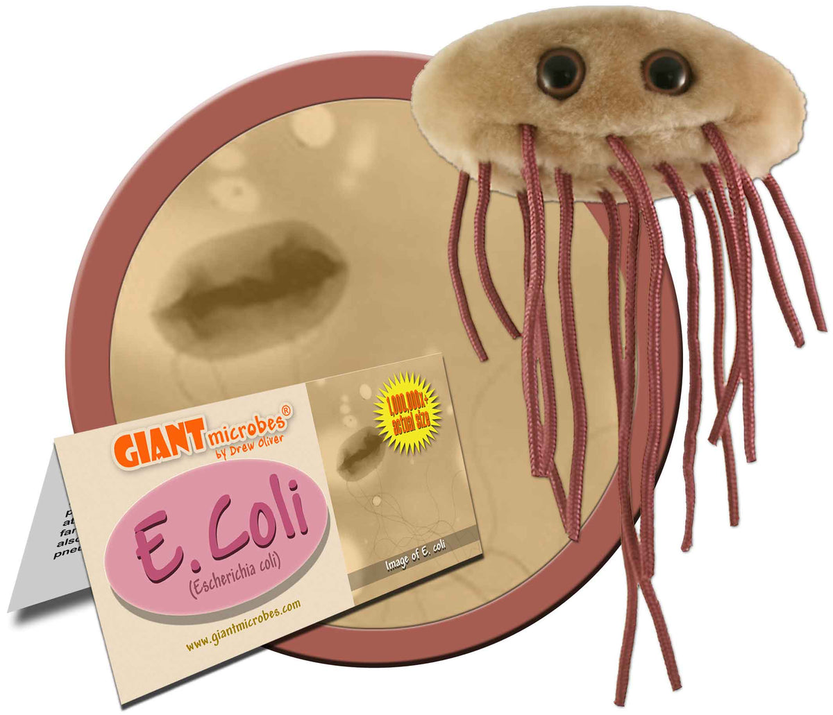 Giant Microbes Plush - E. Coli (Escherichia Coli) – Knick Knack Toy Shack