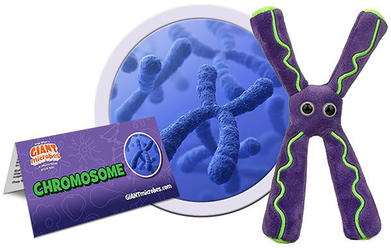 Giant Microbes Plush - Chromosome