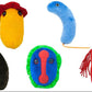 GIANTmicrobes Plush - Plagues From History look inside