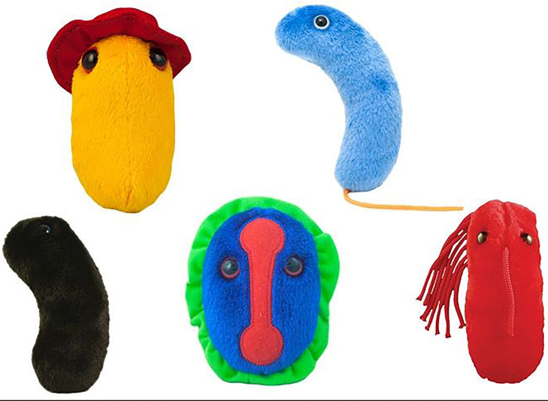 GIANTmicrobes Plush - Plagues From History look inside