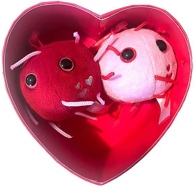 GIANTmicrobes Plush - COVID With Love Heart Box look inside