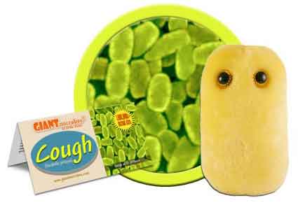 Giant Microbes Plush - Cough (Bordetella Pertussis) close up