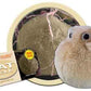 Giant Microbes Plush - Fat Cell (Adipocyte) close up