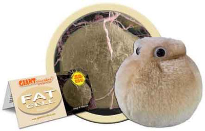 Giant Microbes Plush Fat Cell Adipocyte