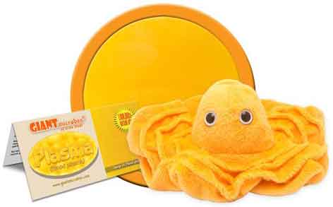 Giant Microbes Plush - Plasma (Blood Plasma) close up