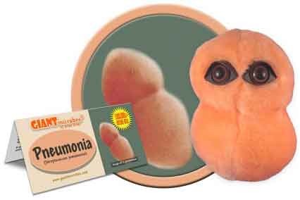 Giant Microbes Plush - Pneumonia (Streptococcus Pneumonia) close up