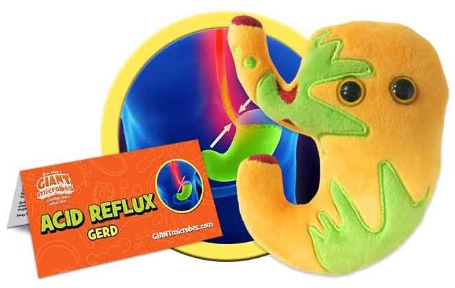 Giant Microbes Plush - Acid Reflux close up